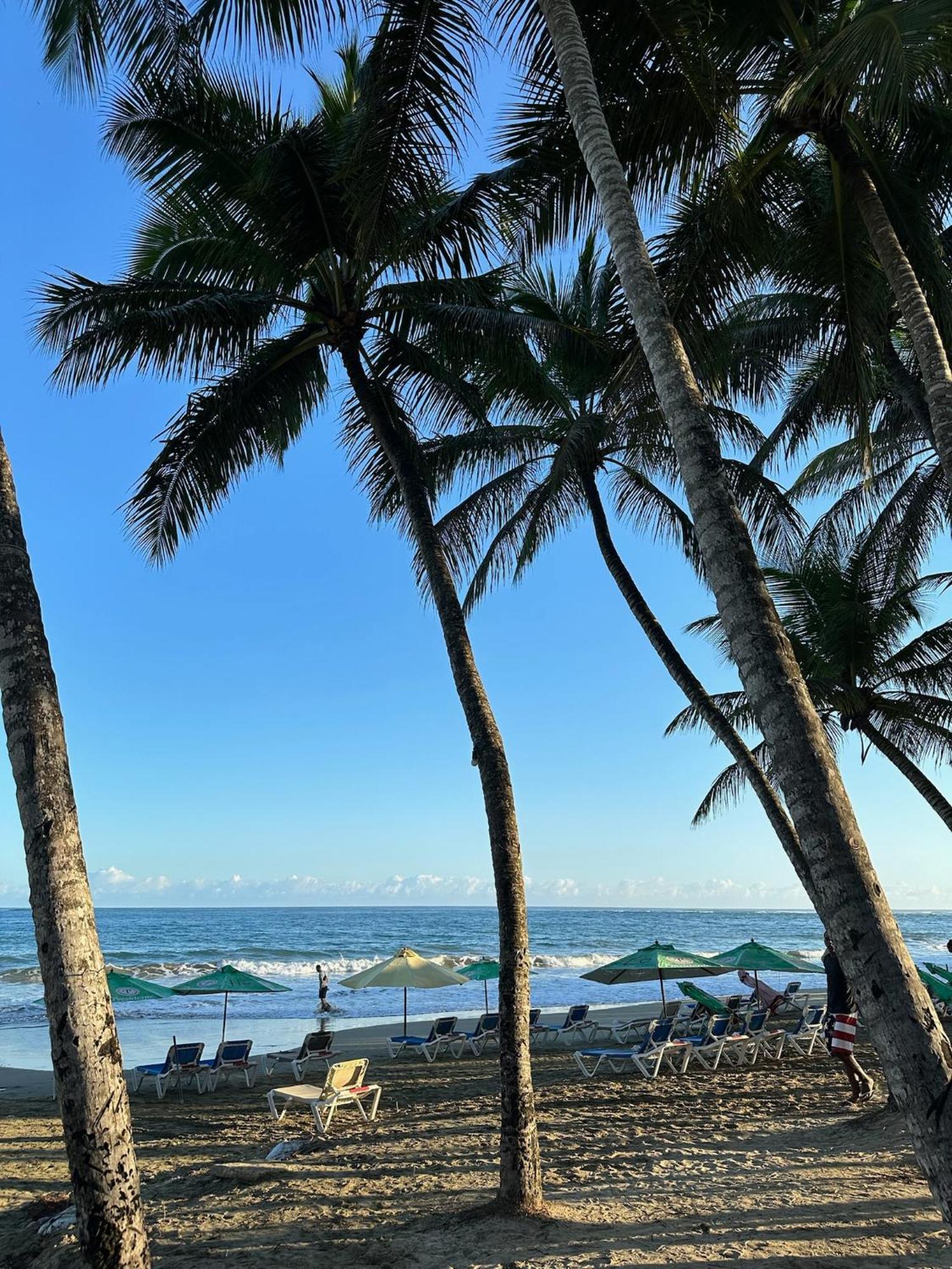 Catalina, Cabrera Oceanview Multi 2 Bd 2 Bath Condo Units With Balcony And Pool Buitenkant foto