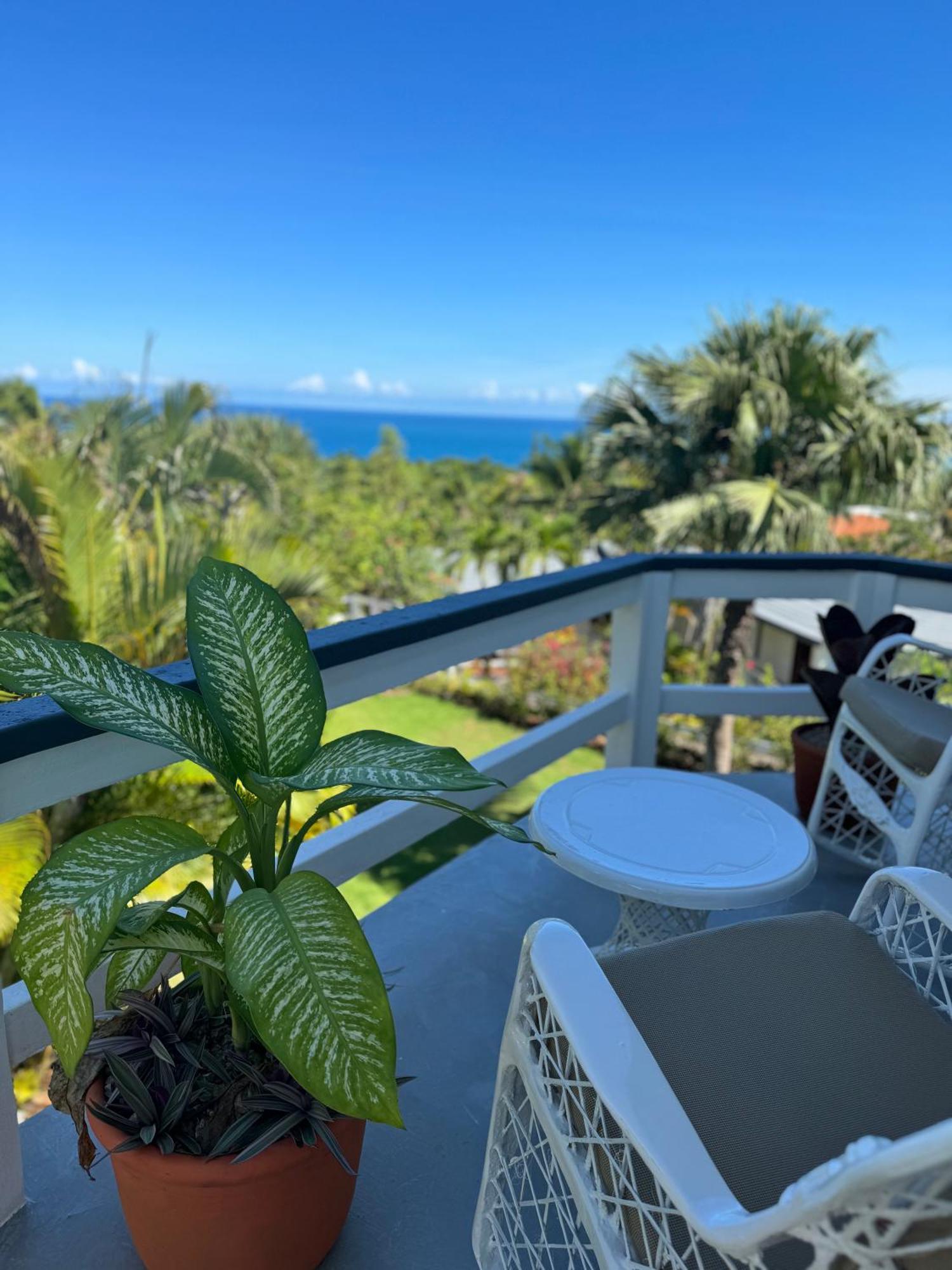 Catalina, Cabrera Oceanview Multi 2 Bd 2 Bath Condo Units With Balcony And Pool Buitenkant foto