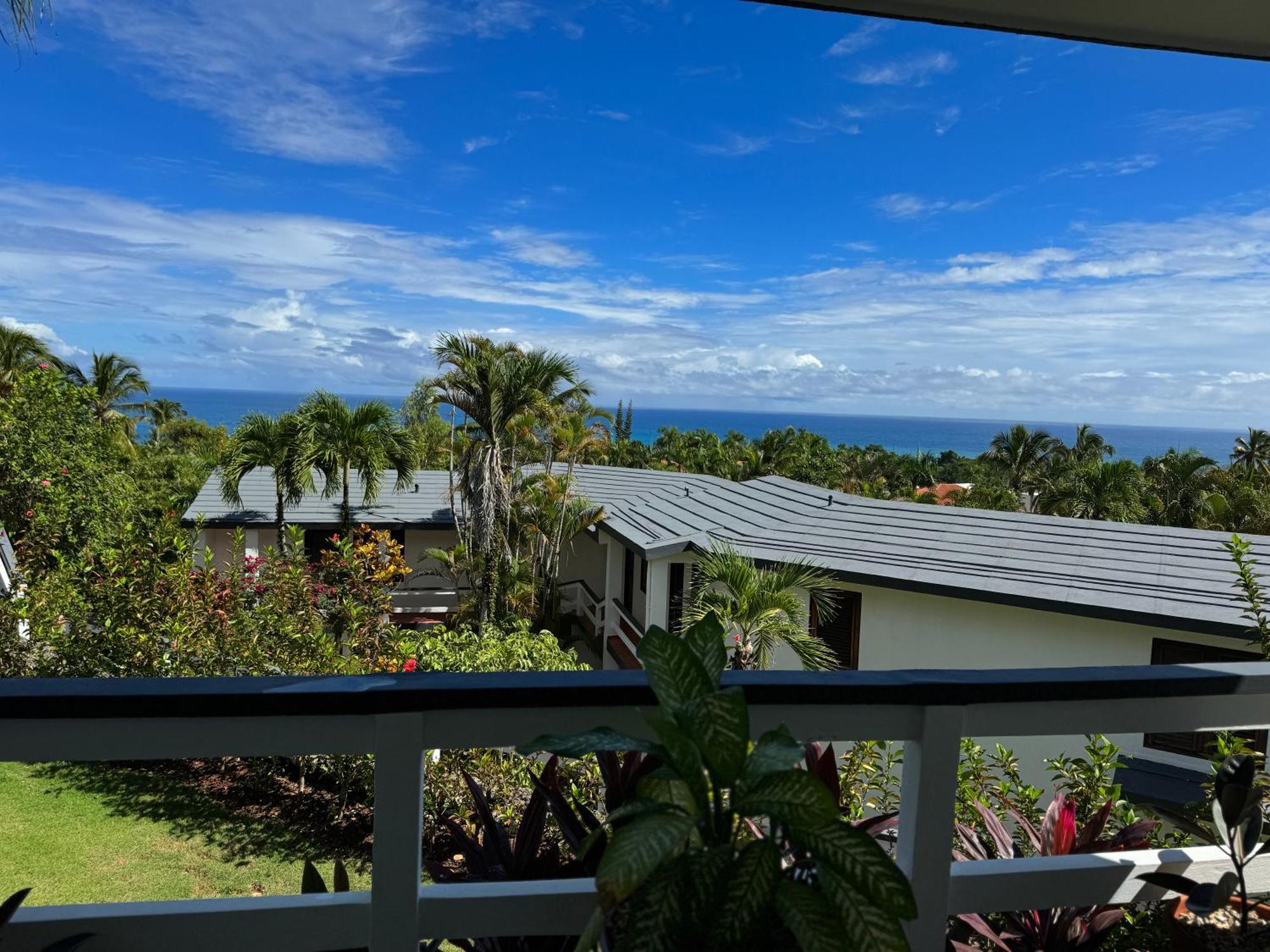 Catalina, Cabrera Oceanview Multi 2 Bd 2 Bath Condo Units With Balcony And Pool Buitenkant foto